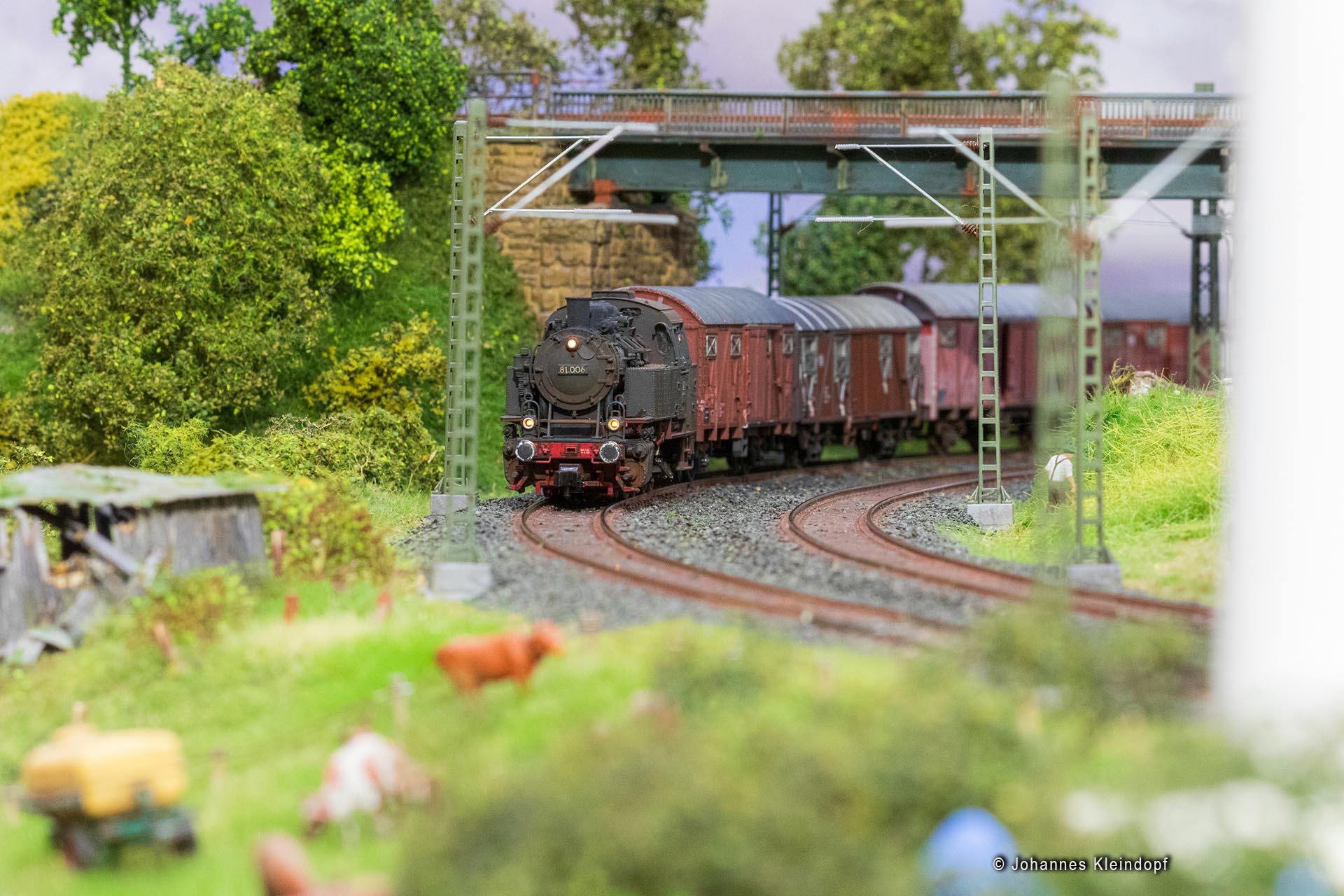 Slideshow Bild 135 von 456