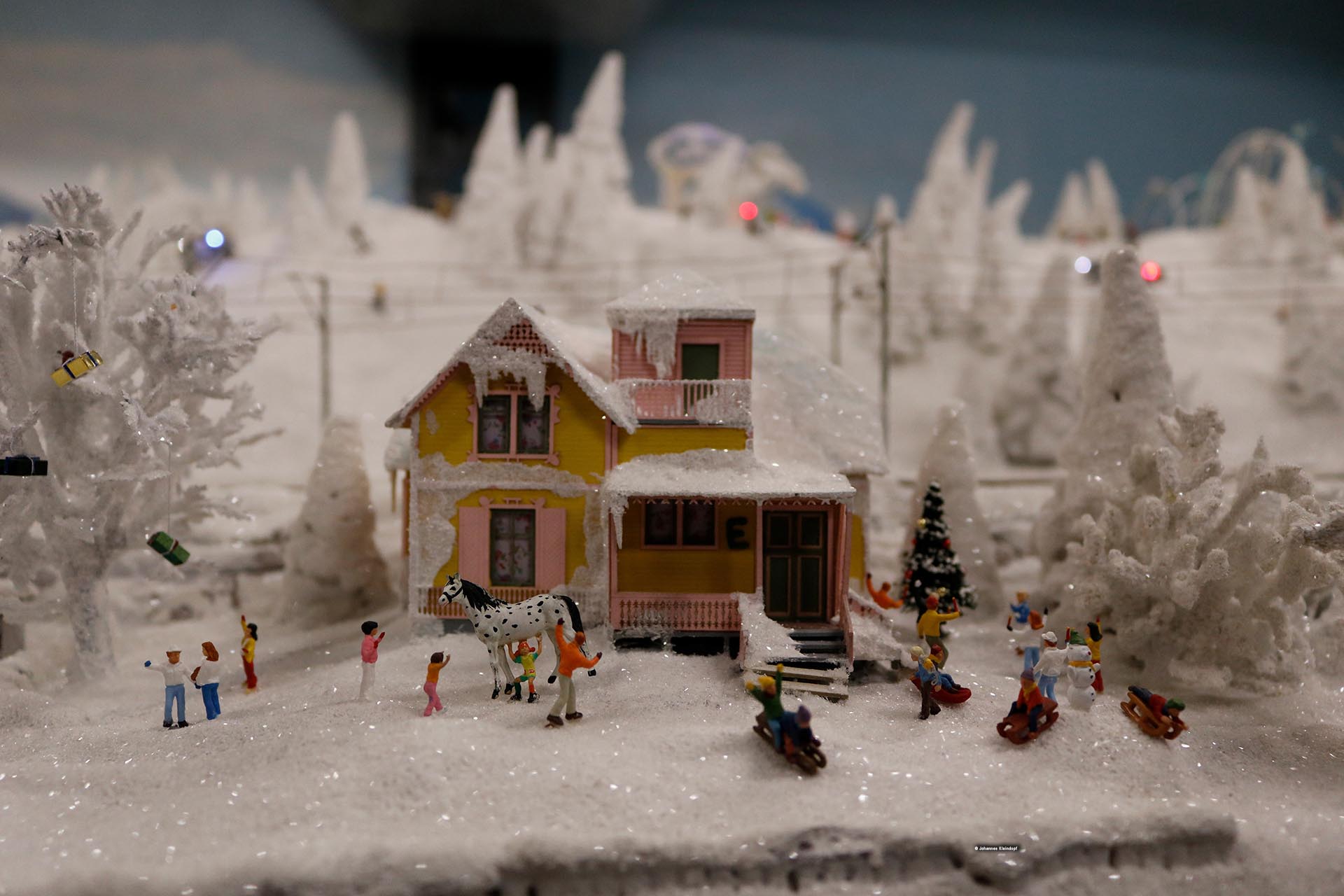 Slideshow Bild 126 von 456