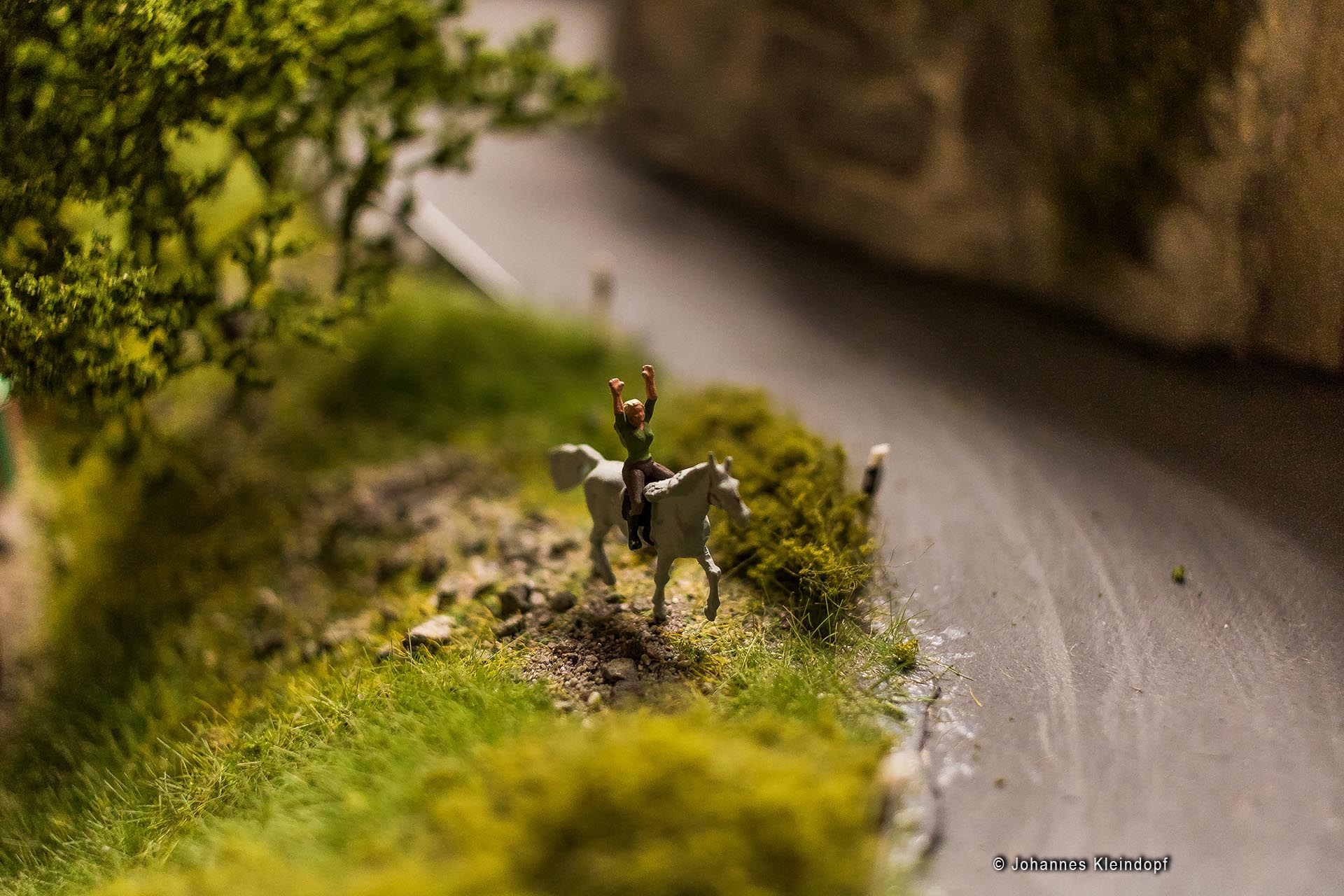 Slideshow Bild 371 von 456