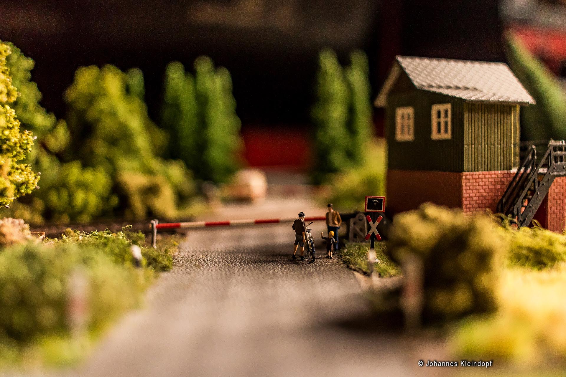 Slideshow Bild 138 von 456